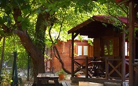 Cabañas Rurales - Las Taneas